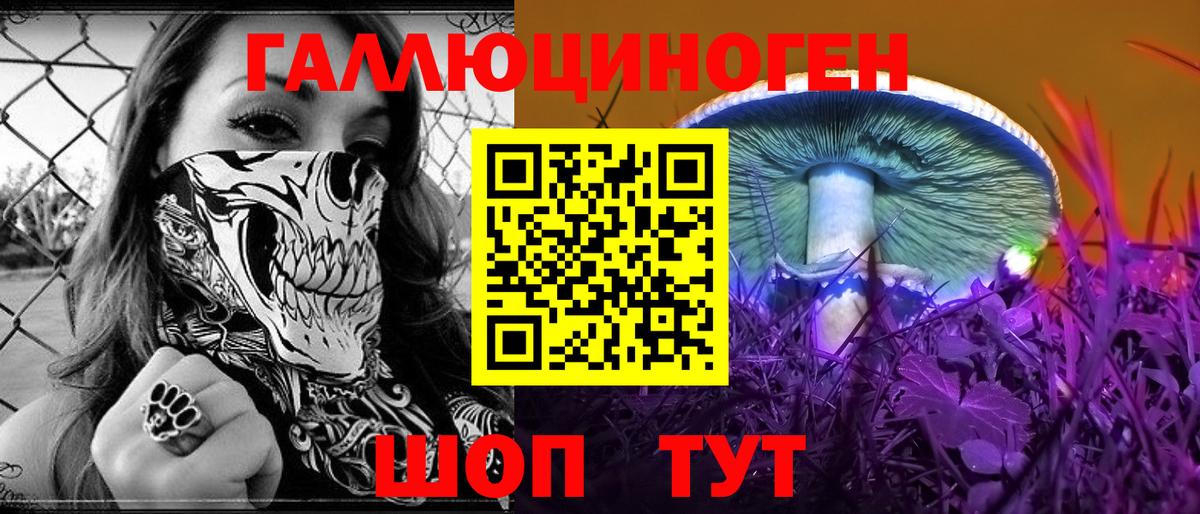 Псилоцибиновые грибы Psilocybine cubensis Аша
