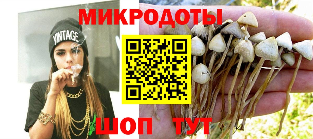 где найти   Вход с VPN  Галлюциногенные грибы прущие грибы  Аша  Псилоцибиновые грибы GOLDEN TEACHER 